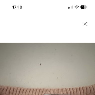 Polo Pullover 