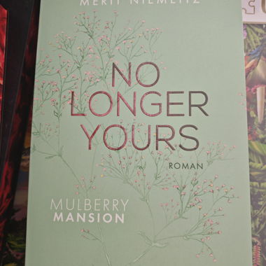 Libro No Longer Yours