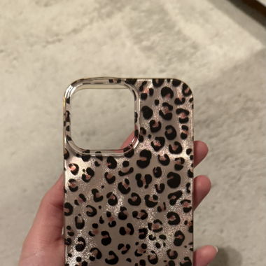 iPhone 16 Pro Max Hülle