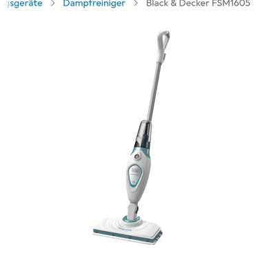 Dampfreiniger