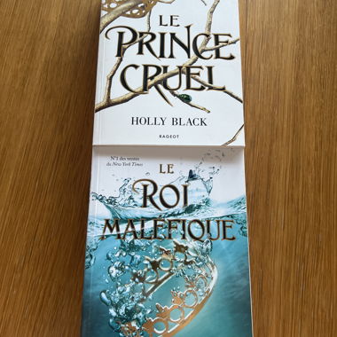 Duo de romans Holly Black