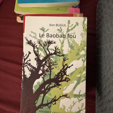 Il baobab pazzo- Ken BUGUL
