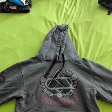 Hoodie  DNGRS