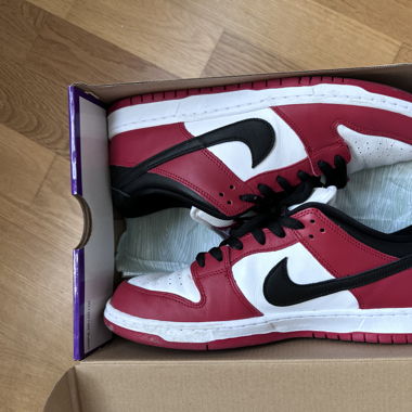 Jordan 1 Chicago SB Dunk Pro