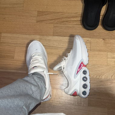 Air Max Dn