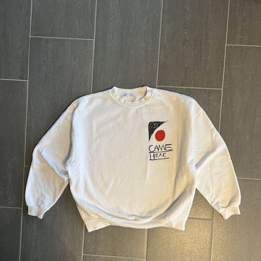 Zara Sweater mir Print 