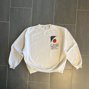 Pull Zara avec imprimé