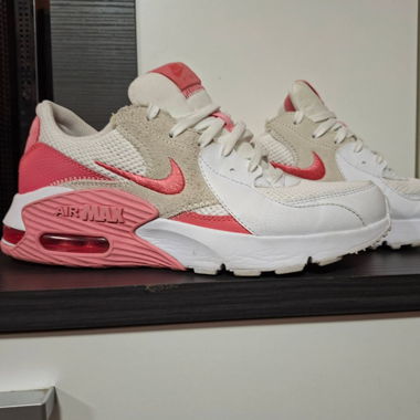 Nike Air Max Sneakers