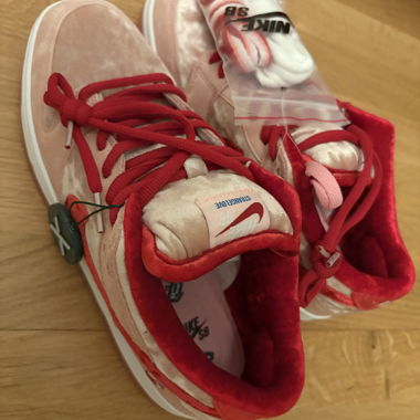 Nike SB Sneakers with Spare Laces