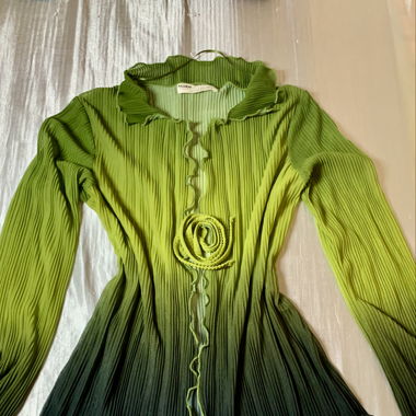  Bear Ombre Pleated Blouse