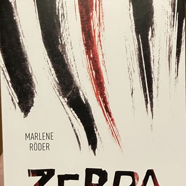 Zebra Land
