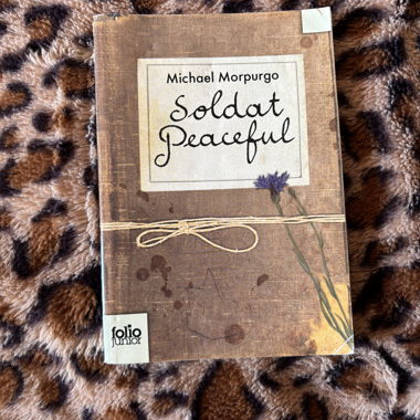 Buch "Soldat Peaceful" Michael Morpurgo