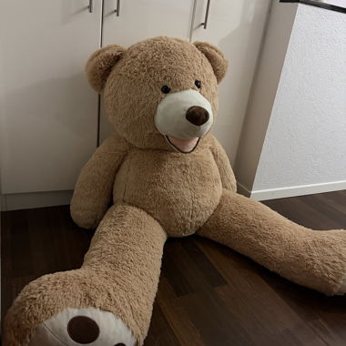 Riesiges Plüschtier Bär