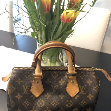 Speedy 25 louis Vuitton 