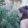 mascha.i