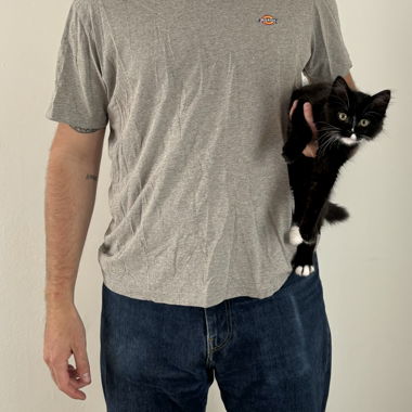 Dickies T-Shirt