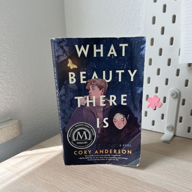 Bücher - What Beauty there is