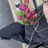 anouk.vio