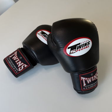 Guantoni Twins 12oz – Muay Thai