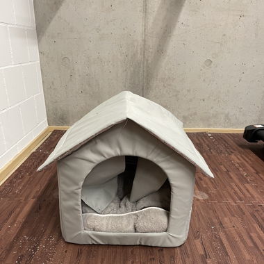 Cat or small dog outside house
