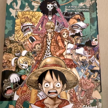 One Piece Volume 81 in French 
