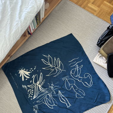Paloma wool silk scarf