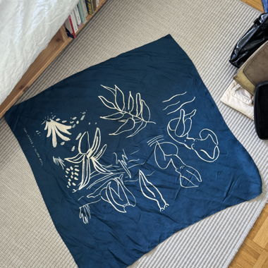 Paloma wool silk scarf