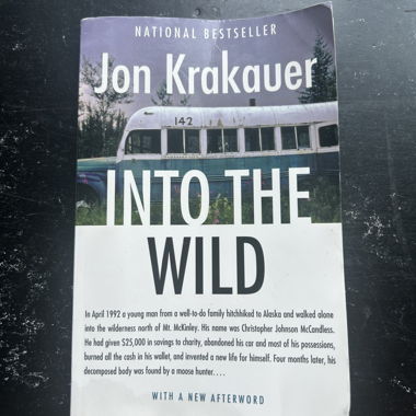 Libro Into the Wild