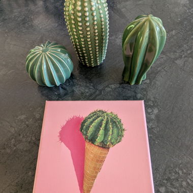 Lot de decorations cactus