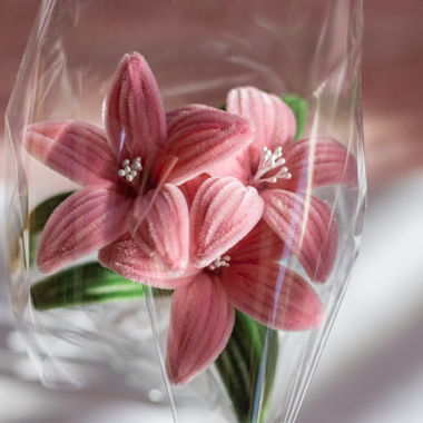Bouquet de fleurs rose clair