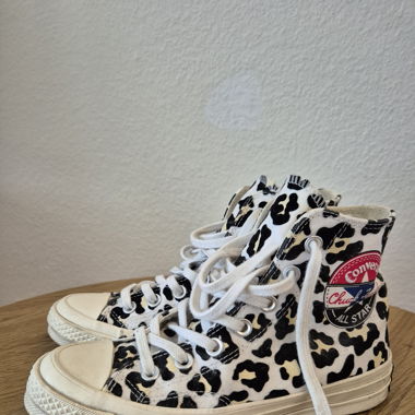 Leo Chucks Converse