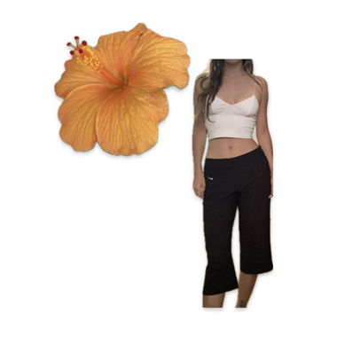 Nike capris