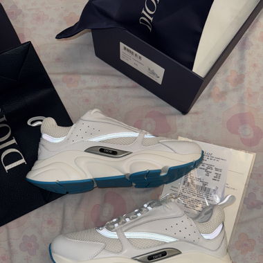 Dior B22