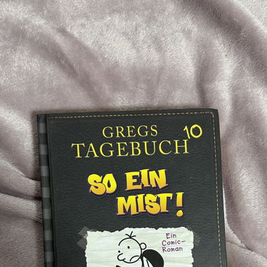 Gregs Tagebuch 10