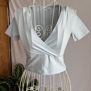 blue crop top by Subdued
