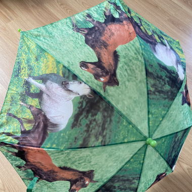 Regenschirm