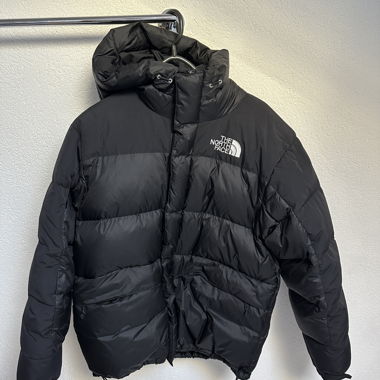 The North Face 550 Down Jacket