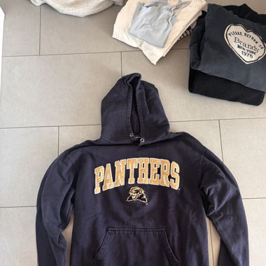 hoodie panthers