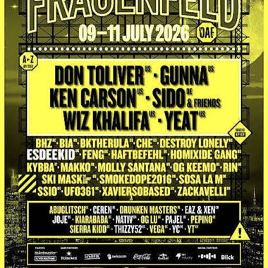 Openair Frauenfeld VIP Ticket (Saturday)