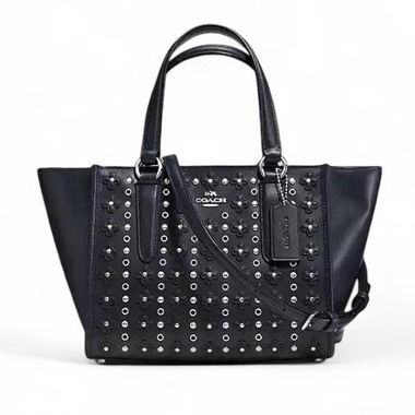 COACH mini crossby bag