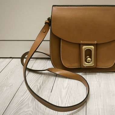 brown bag academia