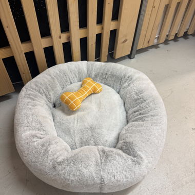 Cozy IKEA UTSÄDD basket