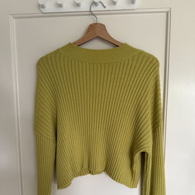 cropped turtle neck 