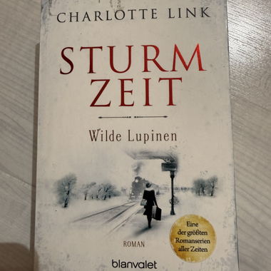 Buch Sturmzeit