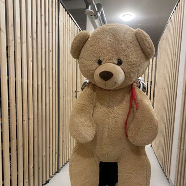 Giant teddy bear