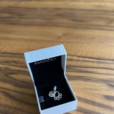 Gioiello Pandora 