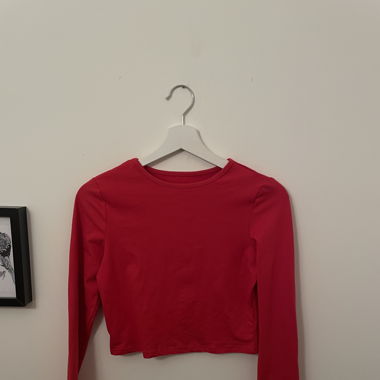Red longsleeve cropped
