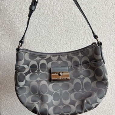 Borsa Coach
