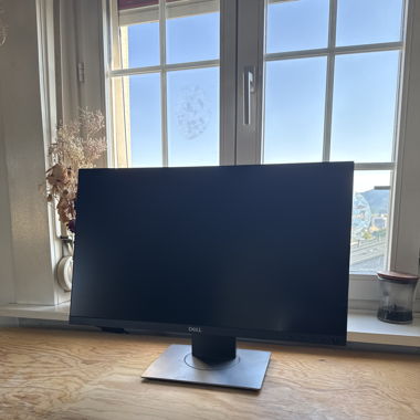 DELL Monitor (2 of them!)
