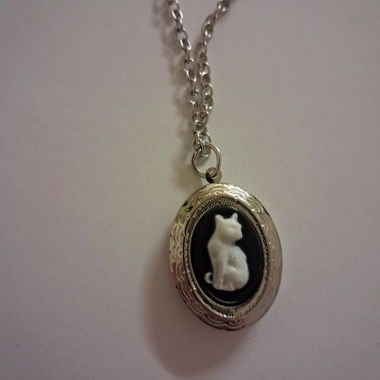 Collana con medaglione per gatti